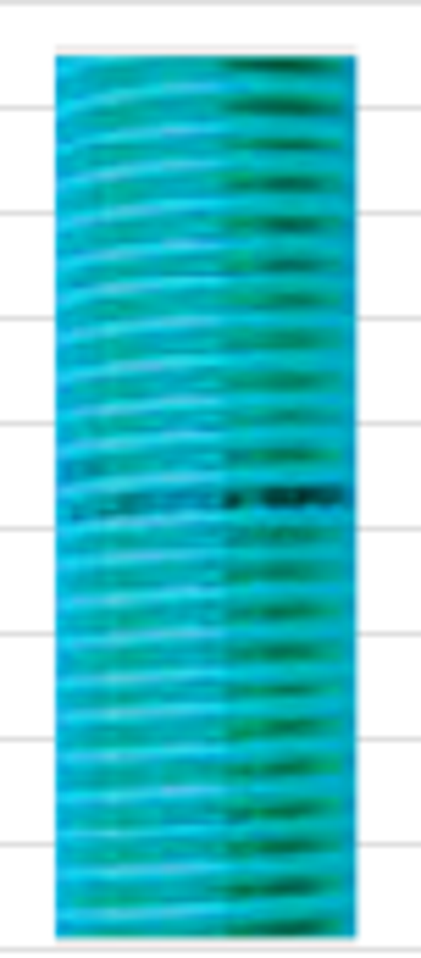 Luisiana superelastic