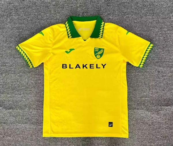 Norwich City 2025/2026 Home Shirt - Kids 3-14 years old and Adults Small to 4XL