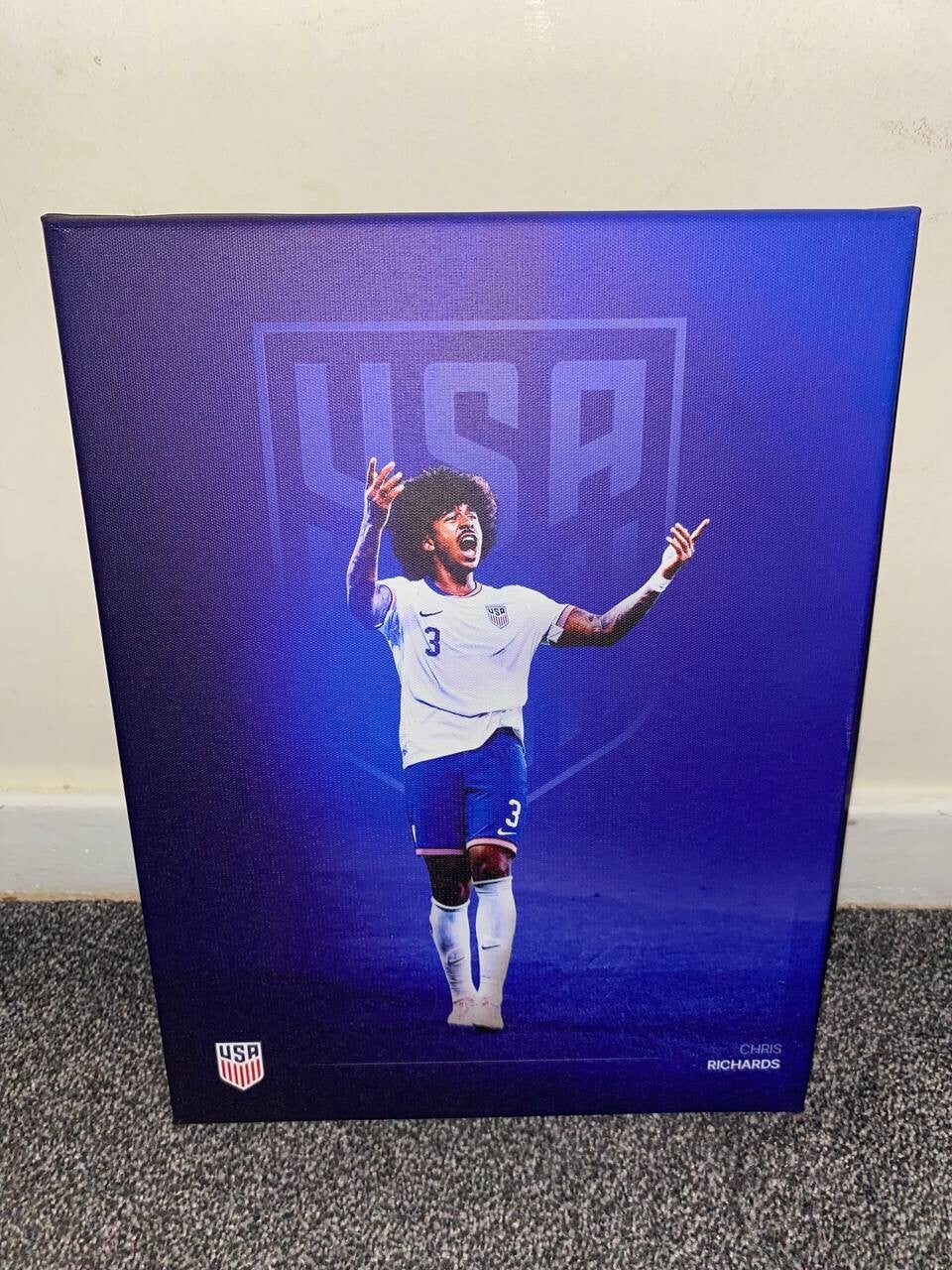 Chris Richards A3 (16x12 Inches) USA Canvas