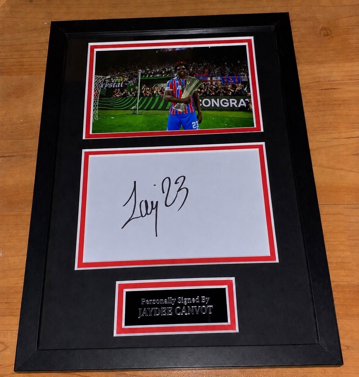 Jaydee Canvot - Hand Signed & Glass Framed A4 Card Mounted - Crystal Palace - COA - 2