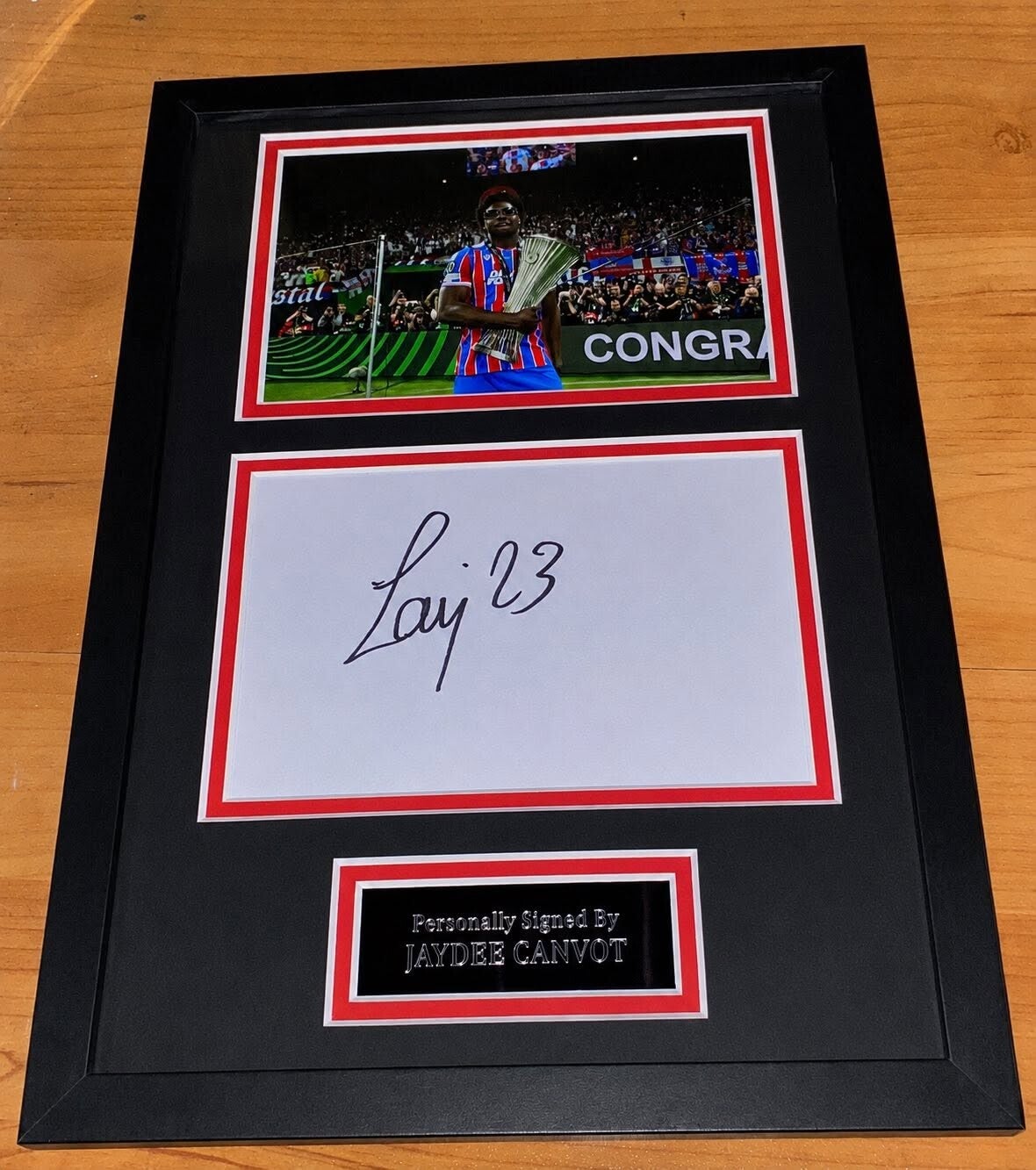 Jaydee Canvot - Hand Signed & Glass Framed A4 Card Mounted - Crystal Palace - COA - 1