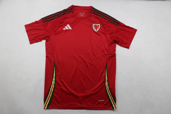 Wales 2024 Home Shirt - Kids 3-14 years old and Adults Small to 4XL