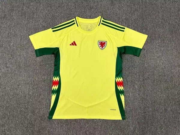 Wales 2024 Away Shirt - Kids 3-14 years old and Adults Small to 4XL