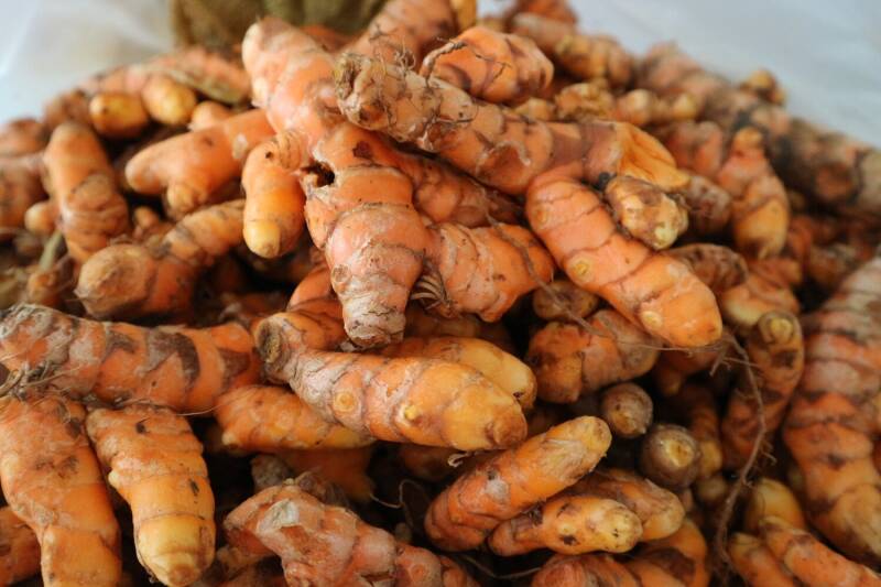 Turmeric Root for Liver
