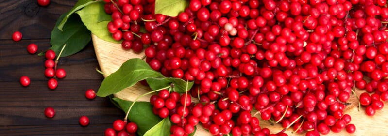 Schisandra Berries for Vitality
