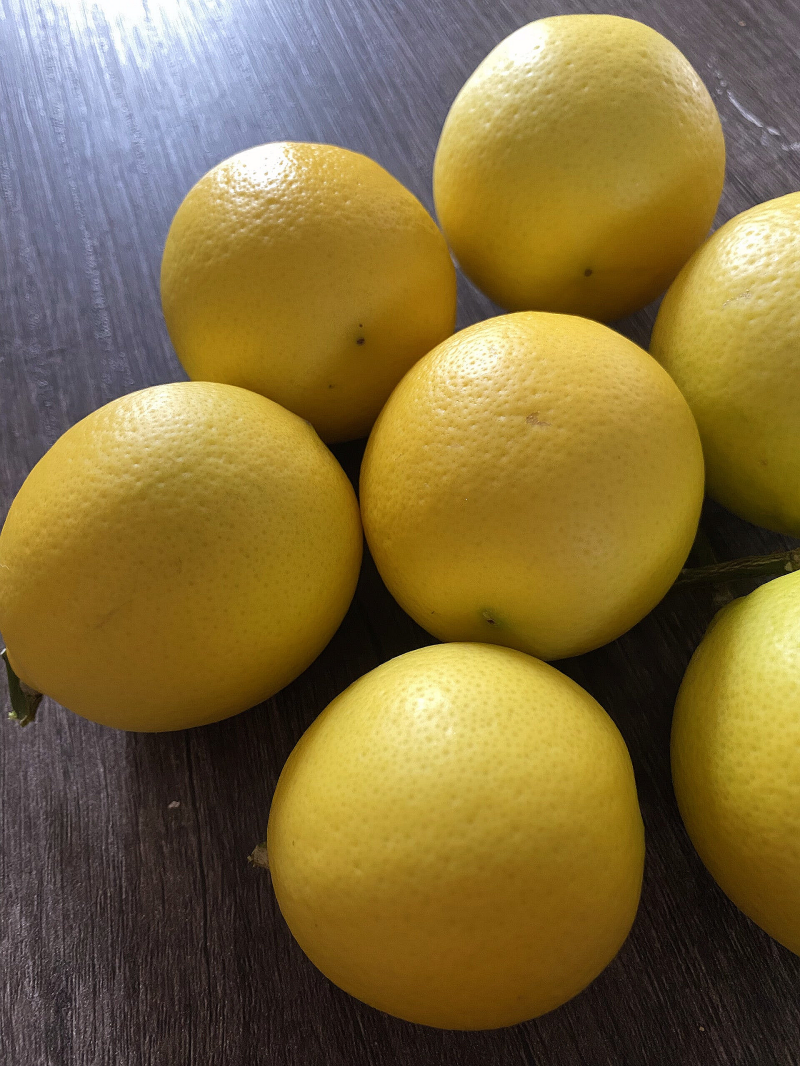 meyer lemons