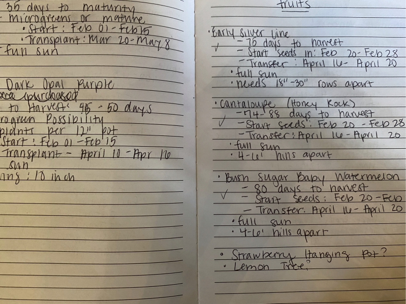 list of herbs and vegetables before summer 2023 garden