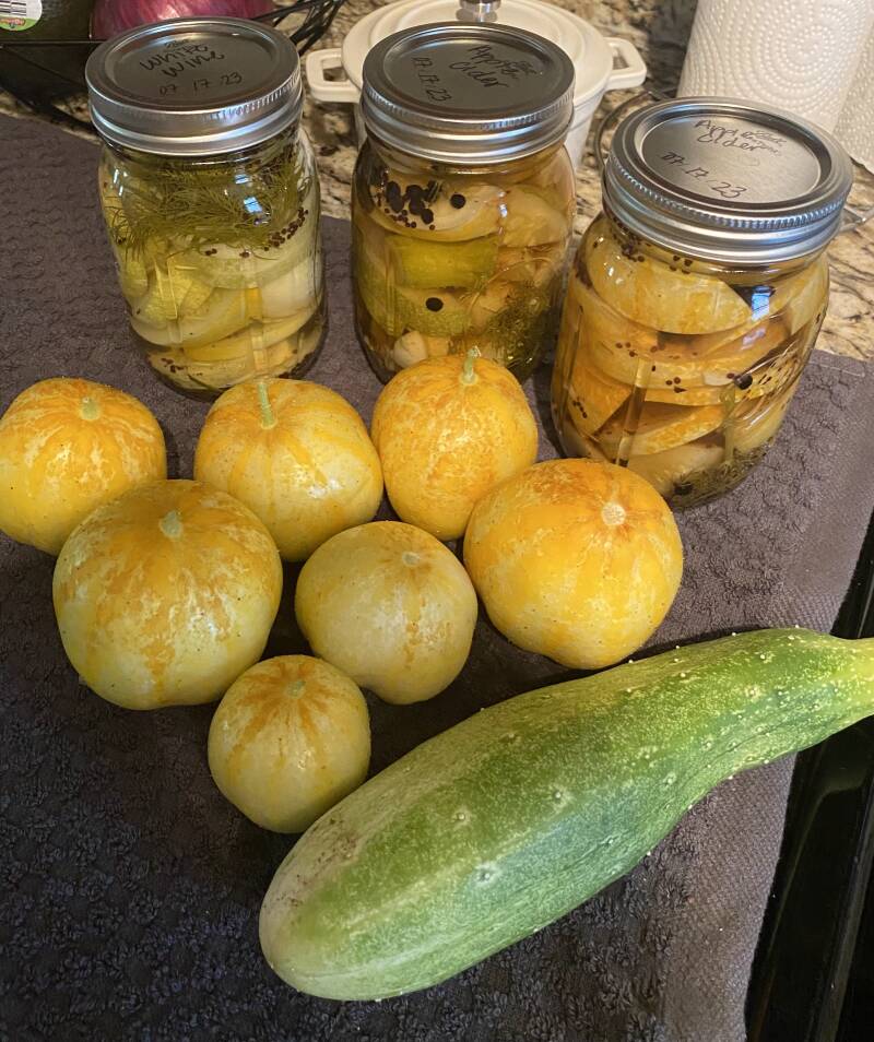 Pickled lemon cucumbers, with fresh lemon cucumbers, and sweet burpless