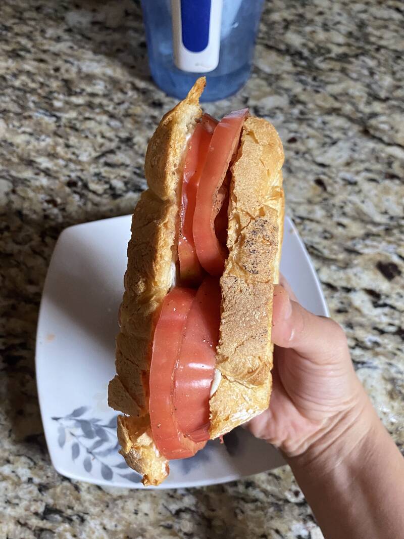 side view of belgium pink tomato sandwich