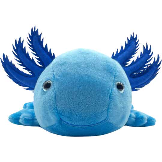 Axolotl Plüschtier blau mit blauen Augen