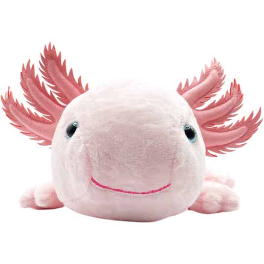 Rosa Axolotl aus Plüsch mit blauen Augen