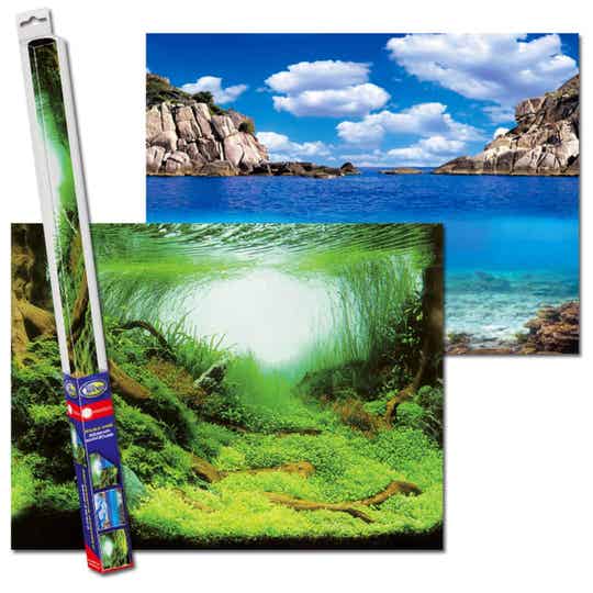 Hintergrund Plants - Ocean