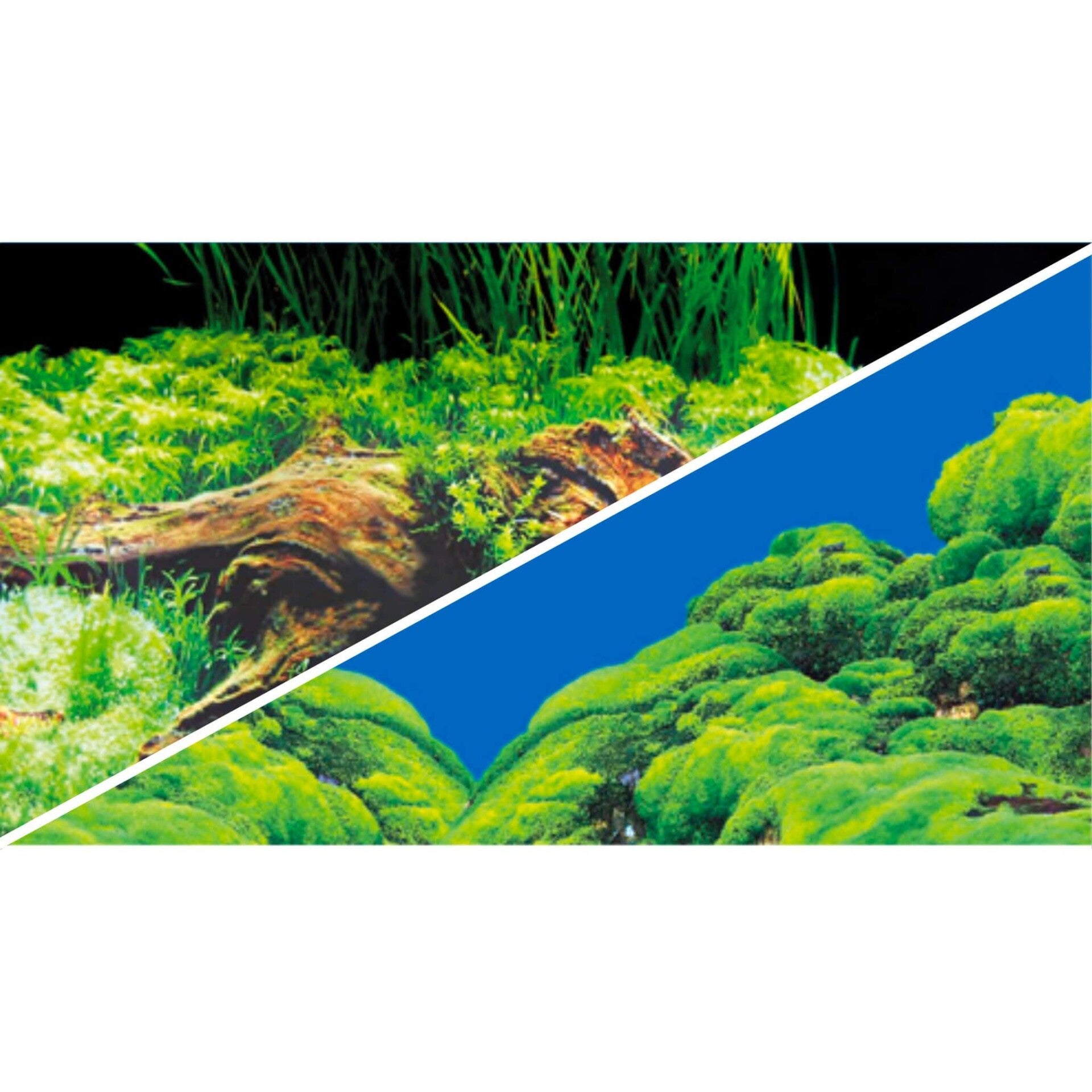 Hintergrund Spring - Moos