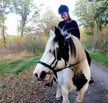 Lichaamsgerichte coach Assen, stress klachten, communicatie klachten, trainingacteur Assen e.o. , Relatie coach in Assen