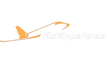 PilotExperience