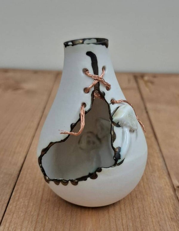 Turkey Baster Bulb with Death Cap Mushrooms