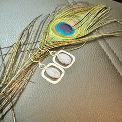 img_0509-standard.jpg