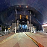 20250606_164027-standard.jpg