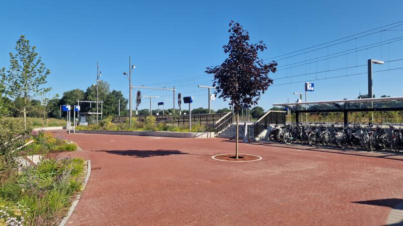 20260808_100337-standard.jpg