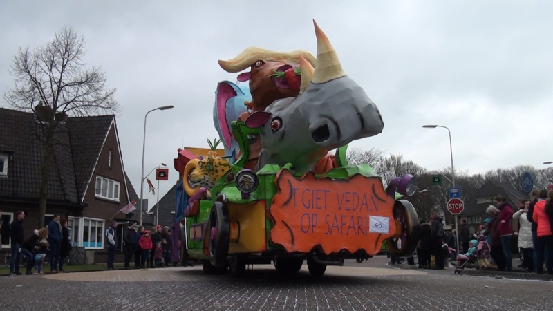 CarnavalRaalte-Optocht-26februari2017-30.bmp