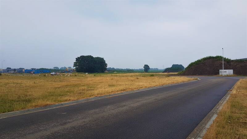 DeZeggeVII11-7-2019-06.jpg