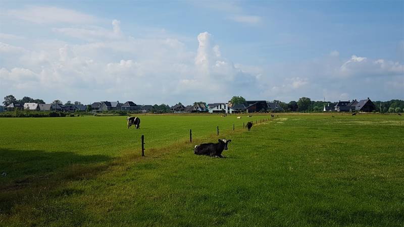 Franciscushof-19-7-2019-01