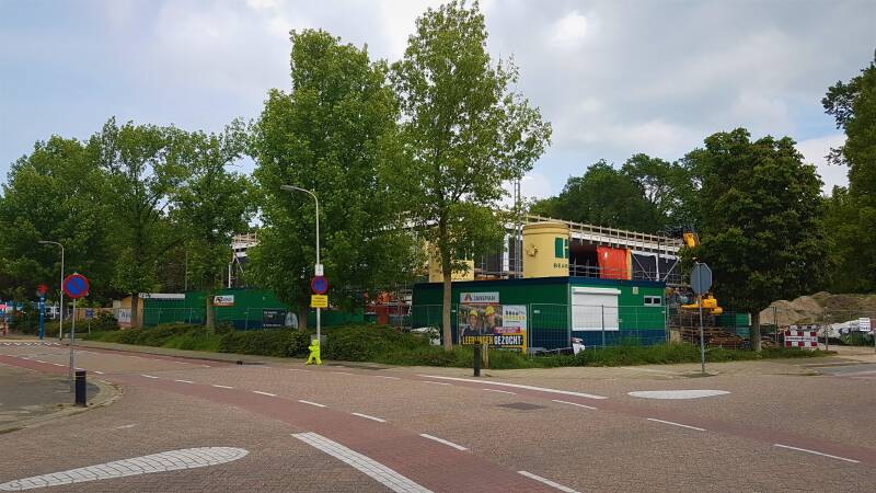 Korenbloem31-5-2019-09.jpg