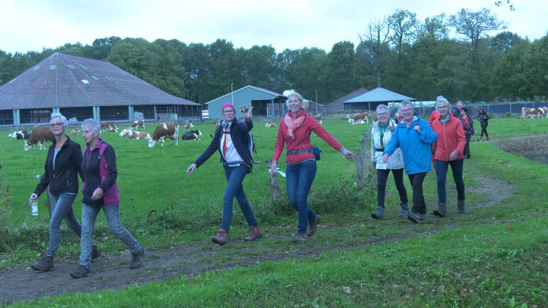 SW4D-24okt2018-Wandelvierdaagse-023.jpg
