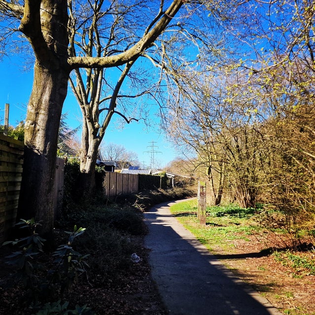 Vloedkampen Raalte