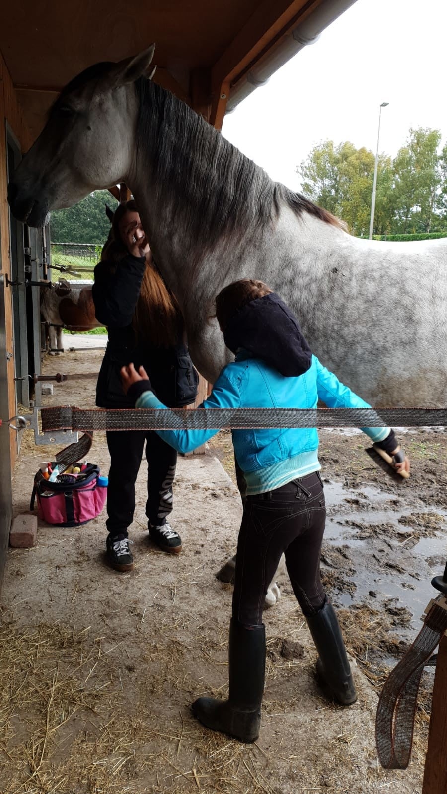 1 op 1 bij dagbesteding Equirehab helvoirt