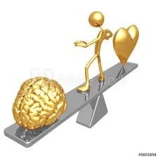 paarden coaching / EMDR therapie Equirehab Helvoirt