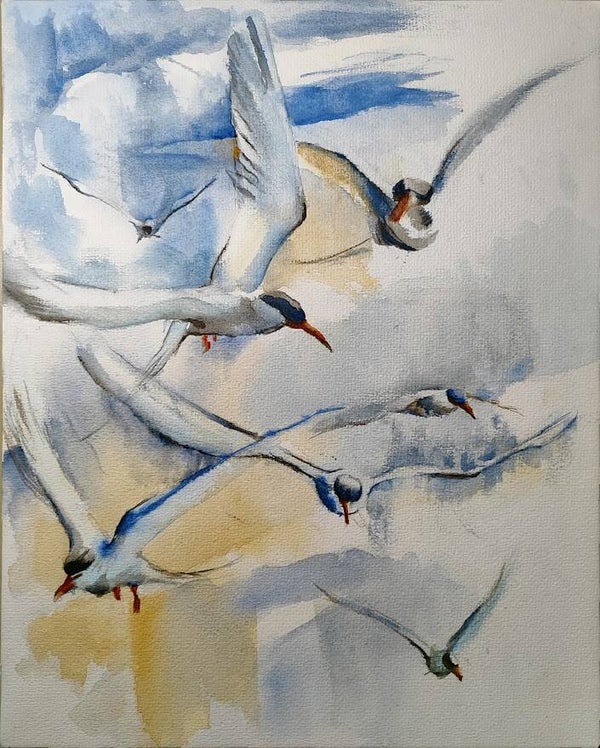 Pájaros