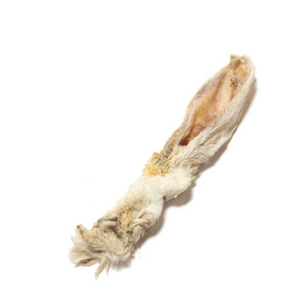Hairy rabbit ear