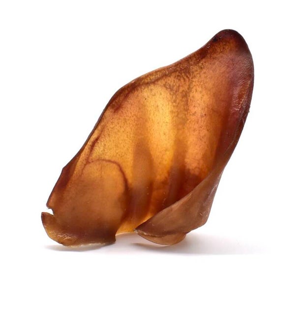 Pig ear