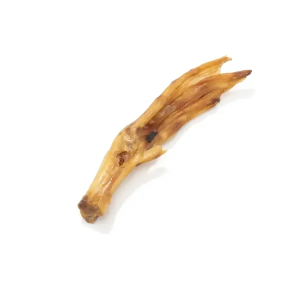 Duck foot