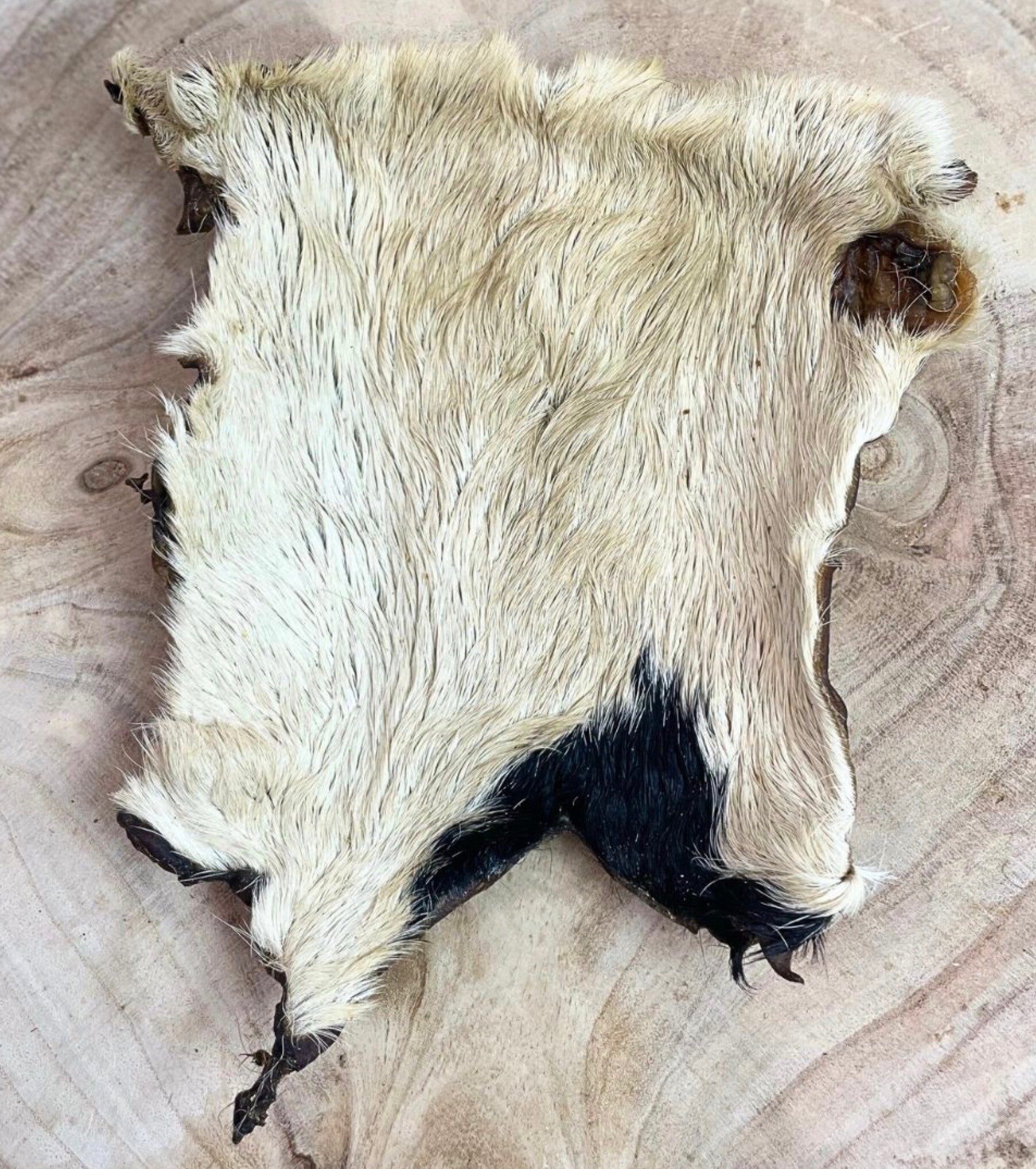 Hairy beef skin