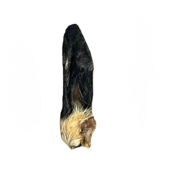 Hairy lamb ears