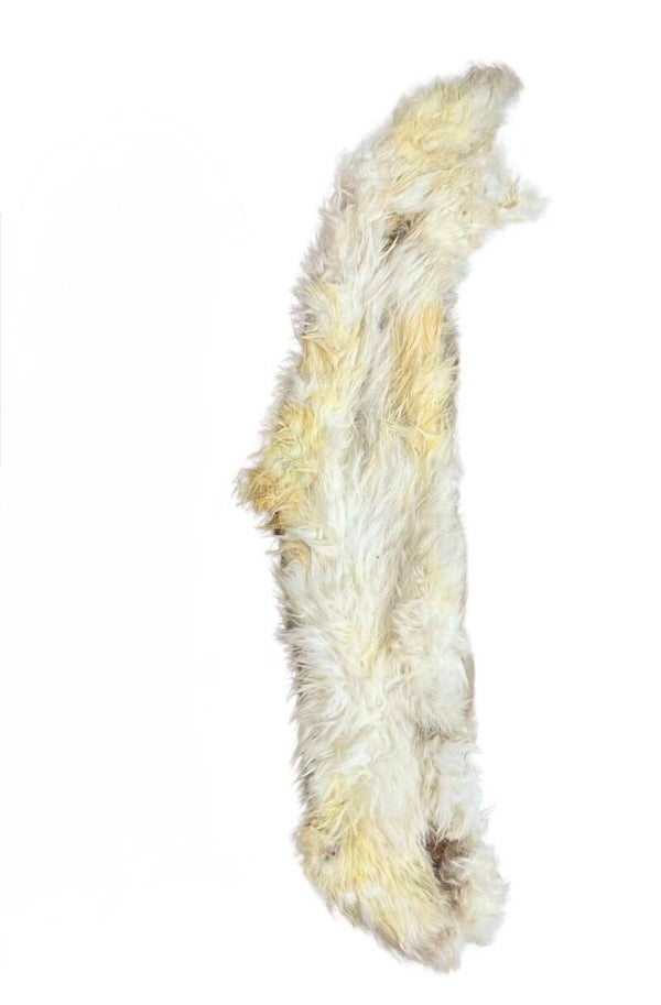 Hairy rabbit skin