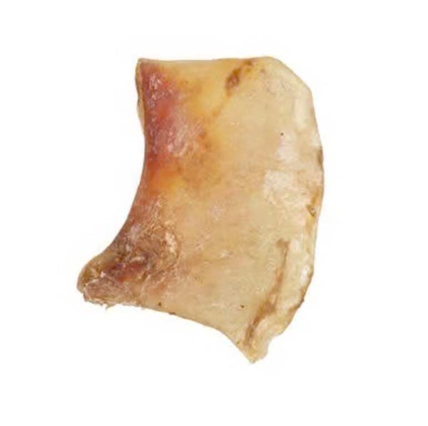 Large moon bone