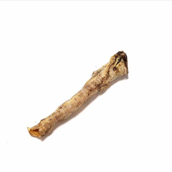 Lamb trachea