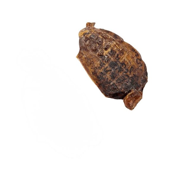 Beef testicle