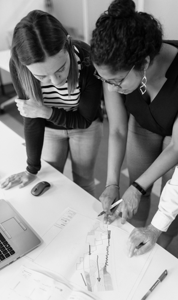 Project based strategic advisory — From NZ$5,000 - $30,000 depending on scope