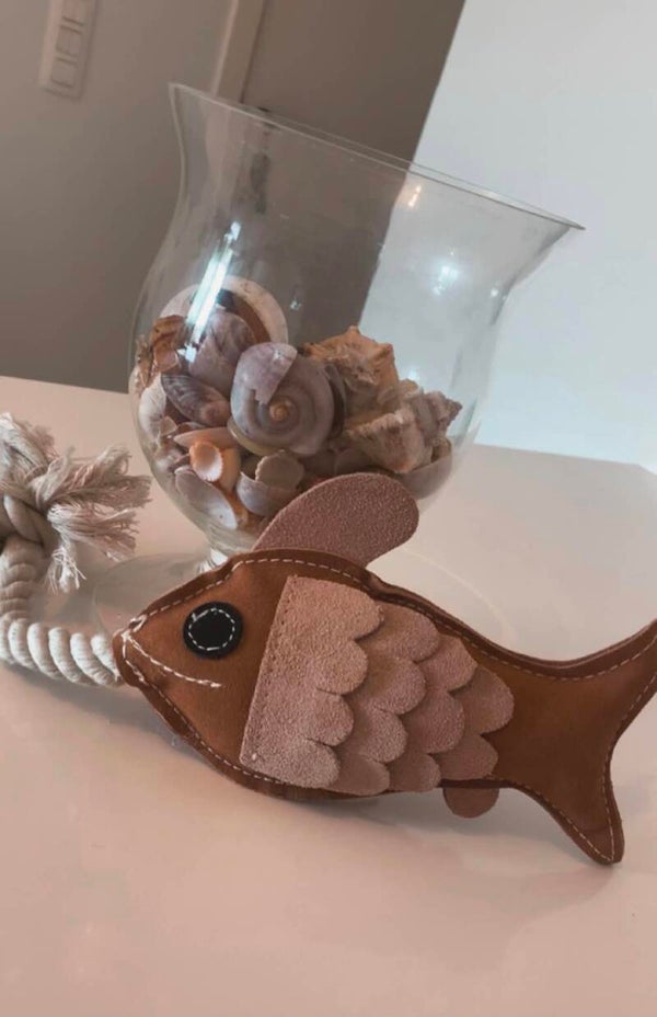Onze visjes 🐟 deze zijn zeer zacht en toch heel duurzaam, er hangt ook een trekkoord aan. Uren speelplezier verzeker dus 🐚  Ook hier hebben we er maar enkele meer van over dus wees er snel bij 📞  En het leuke pluspunt is dat hij ook nog mooi past in je