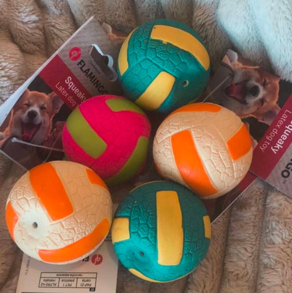 De geliefde ballen, voor elke hond 🐶!