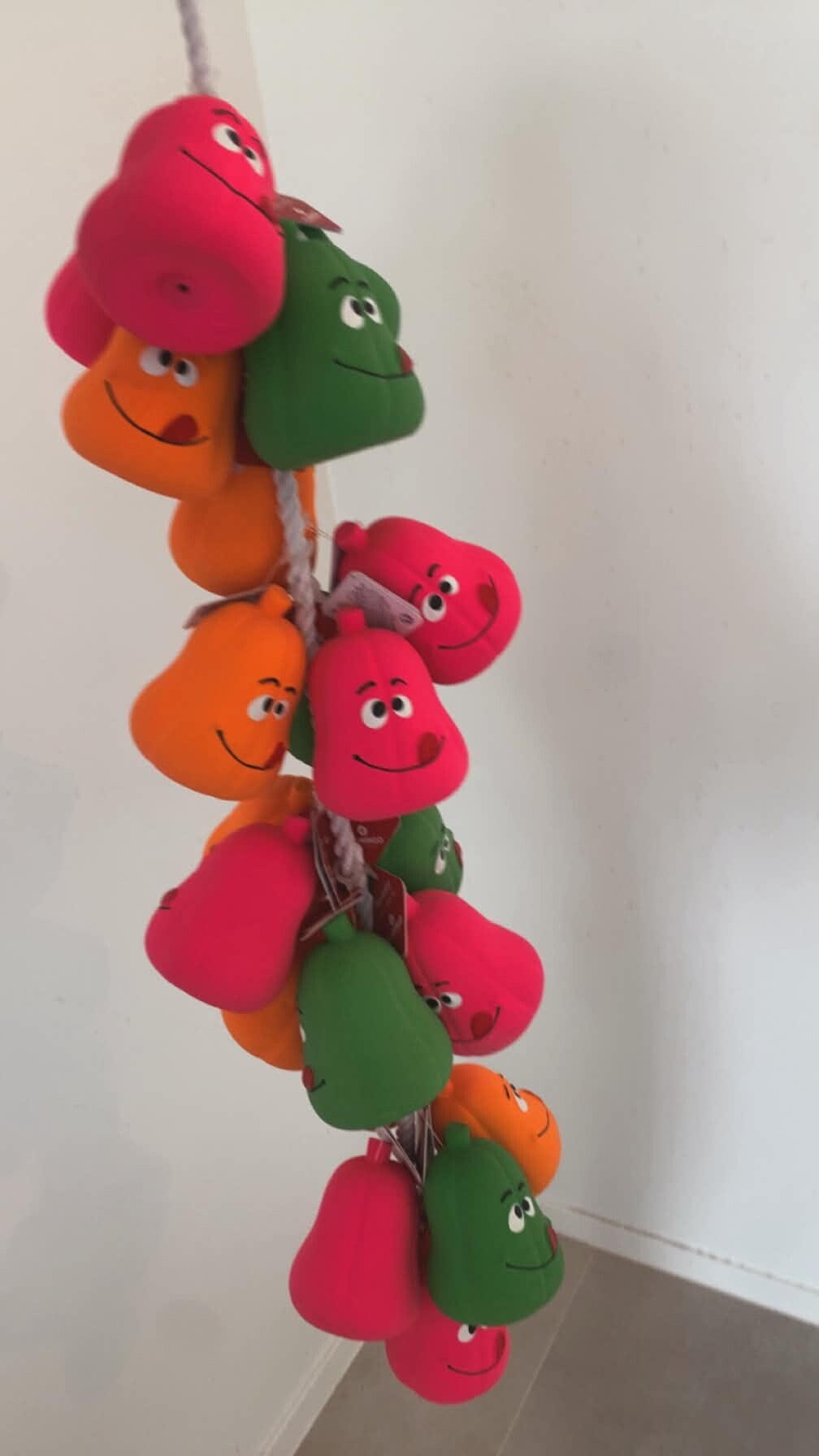 En dan nu een TOPPER, klein en groot kan zich bezig houden met onze gekleurde peren 🍐  🐶 Dit aan de laagste prijs ooit van €3 !  Wees er snel bij !