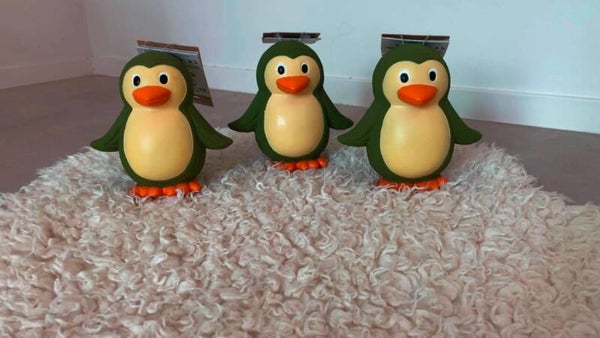 pinguïns 🐧