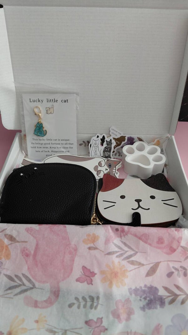 Catbox 1