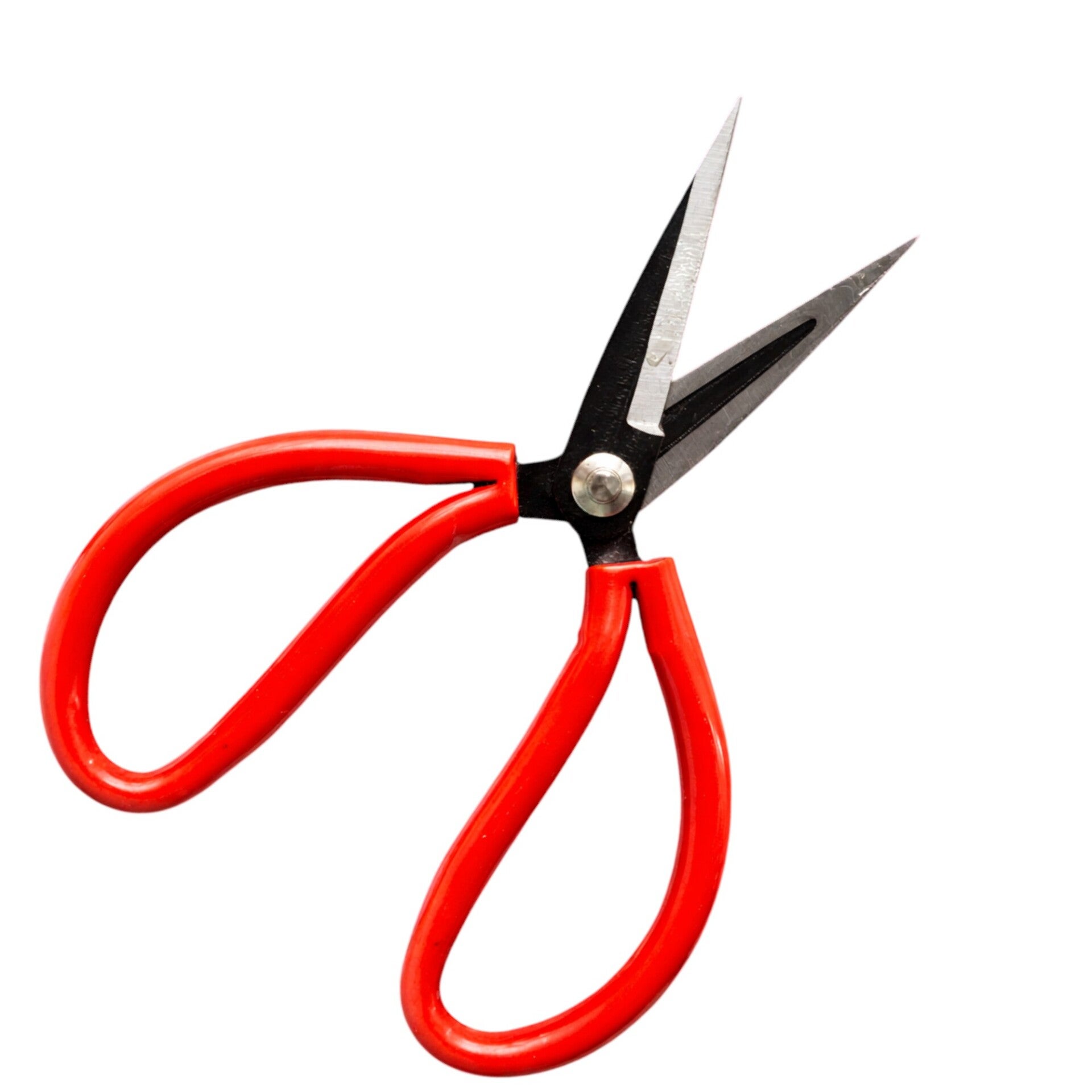 Tijeras Moñísticas