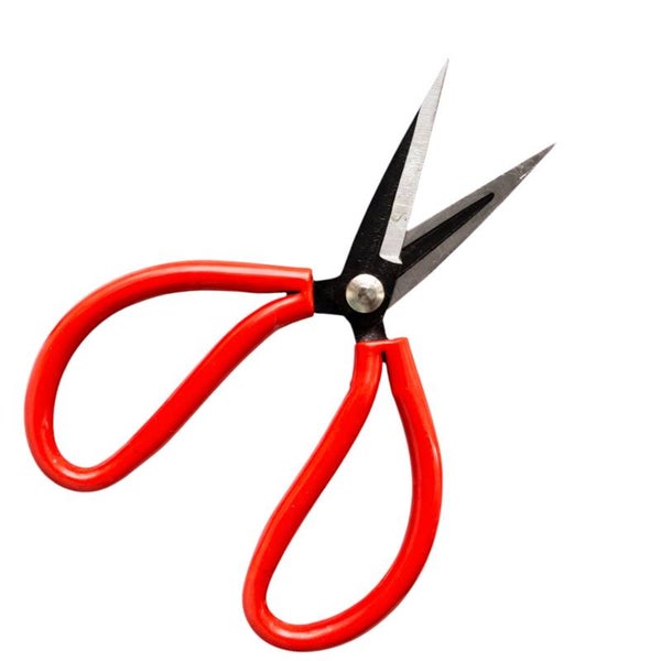 Tijeras Moñísticas