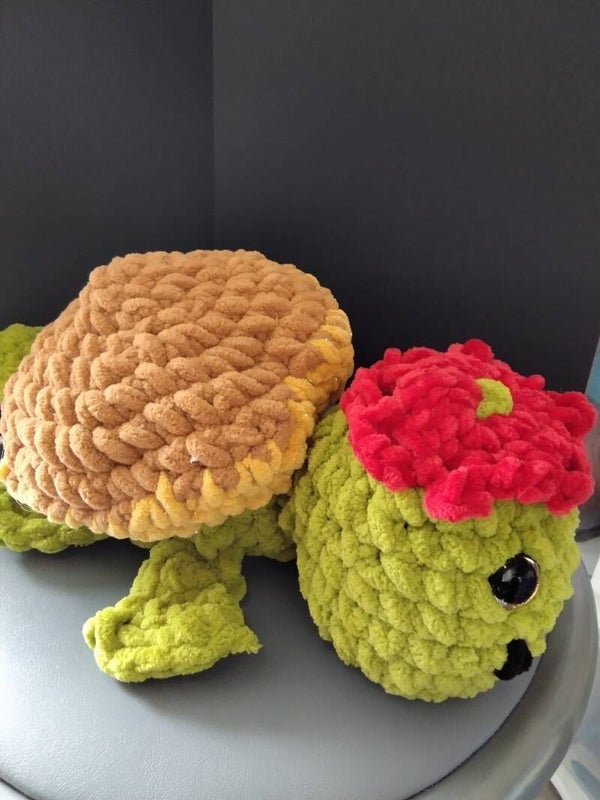 Tout doux la tortue de qui kidhy